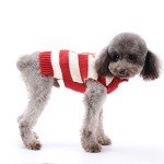 Reindeer Turtleneck Christmas Sweater for Dogs
