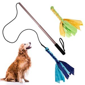 Interactive Flirt Pole for Dogs with Chew Toys
