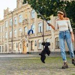 Interactive Flirt Pole for Dogs with Chew Toys