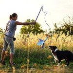Interactive Flirt Pole for Dogs with Chew Toys