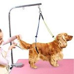 Adjustable Pet Grooming Leash and Belly Strap Set
