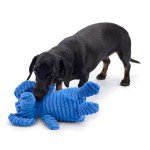 Zappi Co Blue Elephant Squeaky Plush Dog Toy