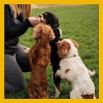 COYA Freeze-Dried Chicken Dog Treats, Grain-Free