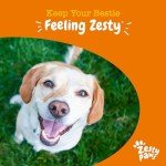 Zesty Paws Allergy Chews for Itchy Dogs
