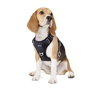 Funfox No Pull Dog Harness for Medium Breeds