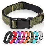 Adjustable Reflective Dog Collar for Medium Dogs