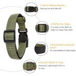 Adjustable Reflective Dog Collar for Medium Dogs