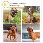 Adjustable Reflective Dog Collar for Medium Dogs