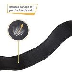 Adjustable Reflective Dog Collar for Medium Dogs