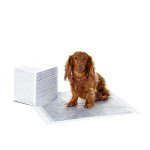 Amazon Basics Leakproof Dog Training Pads (40 Count)