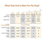 Amazon Basics Leakproof Dog Training Pads (40 Count)