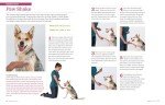 Big Book of Tricks for Your Dog