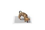 Amazon Basics Leakproof Dog Training Pads (40 Count)