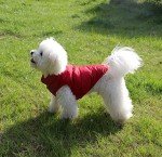 Cozy Fleece-Lined Dog Jacket for Cold Weather