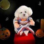 Funny Dog Halloween Costume with Scissors Design