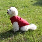 Cozy Fleece-Lined Dog Jacket for Cold Weather