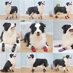 Anti-Slip Dog Socks for Paw Protection