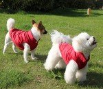 Cozy Fleece-Lined Dog Jacket for Cold Weather