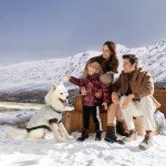 Brown Paw Pattern Medium Turtleneck Dog Sweater