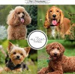 Chris Christensen Smartrinse De-Shed Conditioner for Dogs