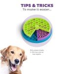 Interactive Dog Puzzle Toy - Medium Level 2