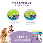 Interactive Dog Puzzle Toy - Medium Level 2