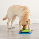Interactive Dog Puzzle Toy - Medium Level 2
