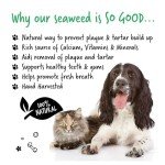 Bugalugs Natural Plaque Remover for Dogs 70g