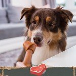 SmartBones Medium Beef Rawhide-Free Dog Chews