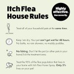 Itch Spot-On Flea & Tick Treatment for Small Dogs