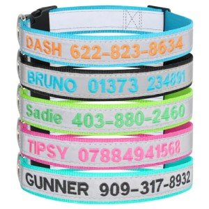 Custom Reflective Dog Collars with Name & Number