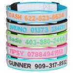 Custom Reflective Dog Collars with Name & Number