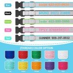 Custom Reflective Dog Collars with Name & Number