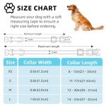 Custom Reflective Dog Collars with Name & Number