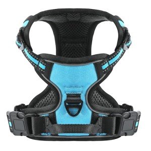 Blue No-Pull Dog Harness for Small Dogs