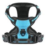 Blue No-Pull Dog Harness for Small Dogs
