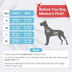 Blue No-Pull Dog Harness for Small Dogs