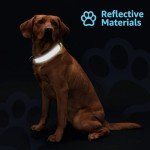 Custom Reflective Dog Collars with Name & Number