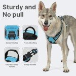 Blue No-Pull Dog Harness for Small Dogs