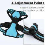 Blue No-Pull Dog Harness for Small Dogs