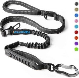 Bungee Dog Leash with Traffic Handle and Seat Belt