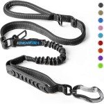 Bungee Dog Leash with Traffic Handle and Seat Belt
