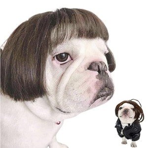 Funny Dog & Cat Halloween Cosplay Wigs