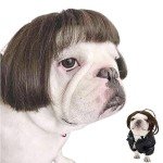 Funny Dog & Cat Halloween Cosplay Wigs