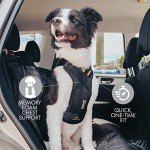 EZYDOG Drive Dog Car Harness - Crash Tested Safe