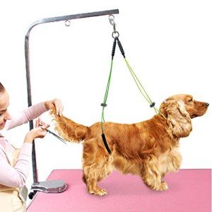 Adjustable Pet Grooming Leash and Holder Set