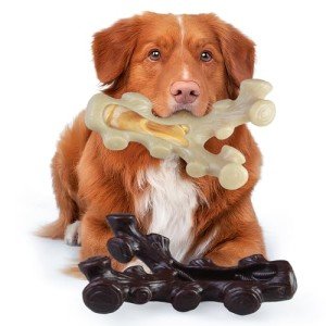 Indestructible Dog Chew Toys for Aggressive Chewers