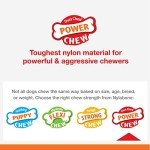 Nylabone Tough Chew Toy - Cheese Flavor Bone
