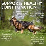 Vet's Best Hip & Joint Dog Supplements - 60 Chews