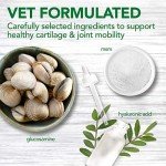 Vet's Best Hip & Joint Dog Supplements - 60 Chews